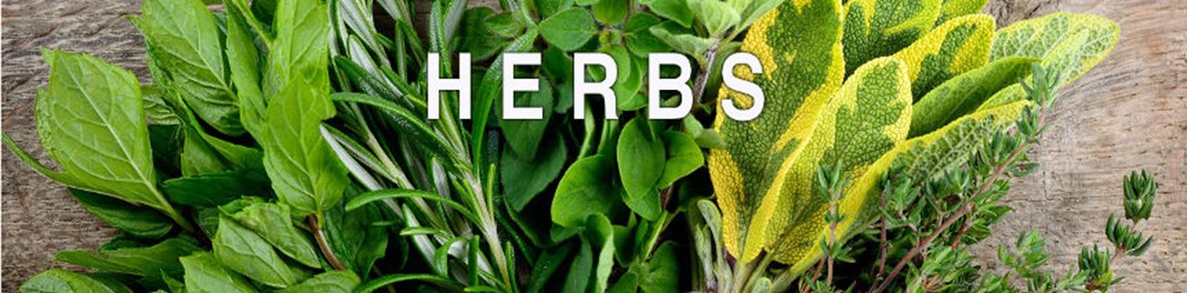 Herbs