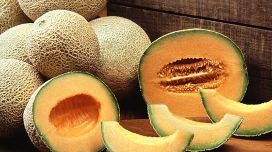 Image result for Muskmelon for your skin
